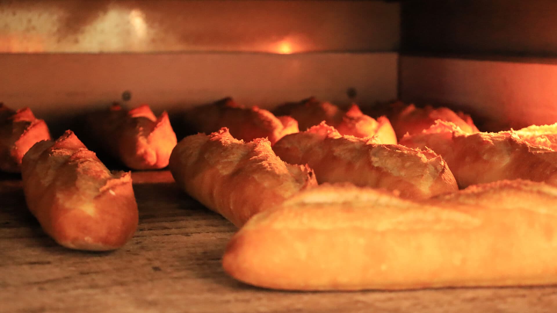 メインビジュアル1